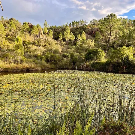 Village Cap Esterel, Piscine,