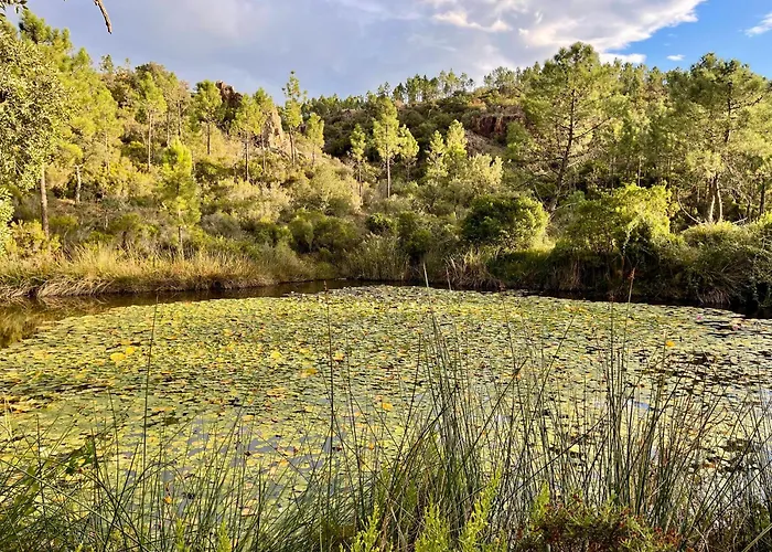 Village Cap Esterel, Piscine,
