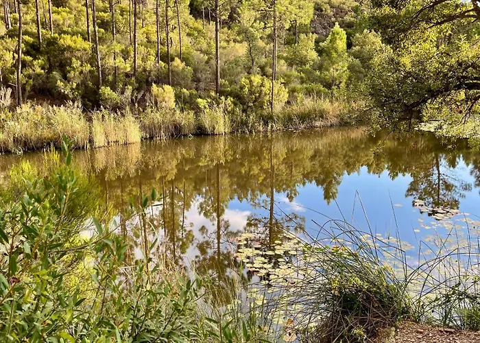 Апартаменты Village Cap Esterel, Piscine, Сен-Рафаэль