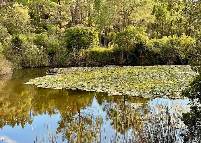 Village Cap Esterel, Piscine, Saint-Raphaël